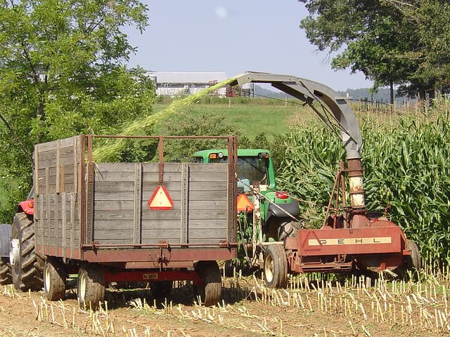 Why Do Some Silages Produce More Methane Than Others?